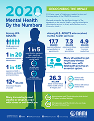 2020 Mental Health by the Numbers Adults infographic