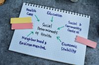 The Role of Sociodemographic Factors and the Social Determinants of Health in Risk for Depression